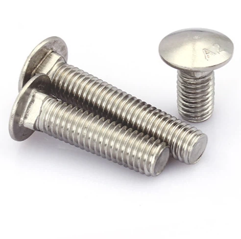 304 Carriage Head Bolt M6